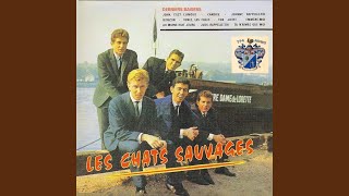 Les Chats Sauvages - Judy rappelle-toi (1963)