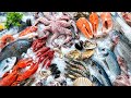 Mercury, Seafood and You - oceana.org