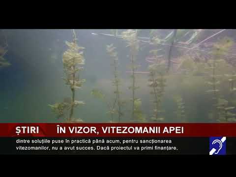 În vizor, vitezomanii apei