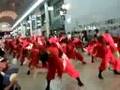 2008YOSAKOI　第55回高知よさこい祭り　  早稲田大学・踊り侍