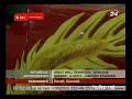 Видеоновость "Дракон Дакара"- китайська автоновинка 