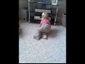 amelies crawl amelies crawl