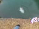 These guys will do anything for their 15 minutes. Check it out!