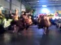 Pasar Malam Eindhoven - Papua New Guinea