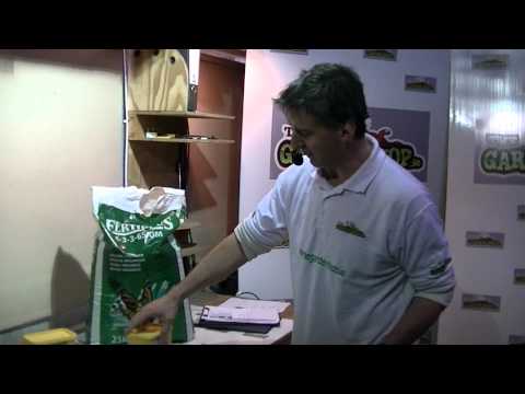 how to fertilize escallonia