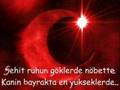 sehitler �lmez vatan b�l�nmez murat basaran [g�l�mse annem]