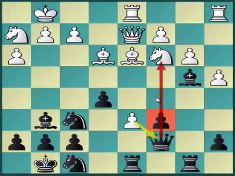 chess chess