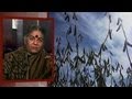 Vandana Shiva on Bowman v. Monsanto: This Case Is About Every Farmer, Person and Seed in the World