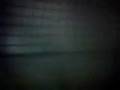 videos de buzzz!