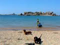 Our fave beach with the two daxi's and family.