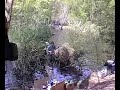 a la peche