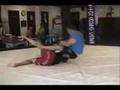 ALL IN A DAYS WORK "THE BULL" MMA FIGHTER