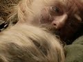 Return of the King - Music Video - Until The End