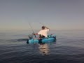 Salmon on Hobie Kayak at Mornington - Video