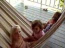The Holzemer Hammock Swing 2