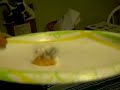 Hobo`s dick cheese or pubie salad