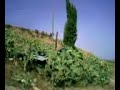 Il castello dell\