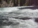 Best Of Yellowstone 2008 Pt. 1