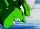 Vegeta sacrefice