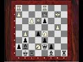 Letsplaychess.com presents Timman vs Kasparov