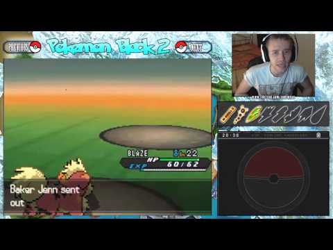 pokemon black pokemon black