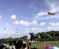 Pesta Layang-Layang Pasir Gudang 2007 B