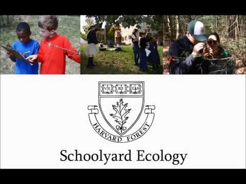 how to collect ecological data