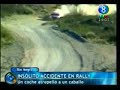 Atropellando un caballo...