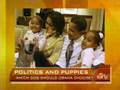 Presidential Puppy Picks