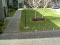 Belgrove Hail Storm, UCD, Dublin, Ireland