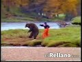oso peleando por salmon oso peleando por salmon