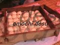 omochi desu