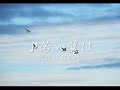 若い翼は