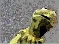 IT AINT EASY BEING GREEN