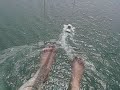 Lobo Del Mar Parasail Mexico Lobo Del Mar Parasail Mexico