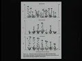 Gene Organism and Environment