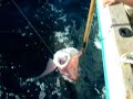 PESCA PARGO CANTAMARES