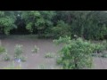 Storm causes flooding throughout Sudbury
