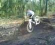 muxton woods jumps