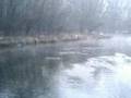 Fishing The Busse WWD