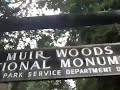 Muir Woods
