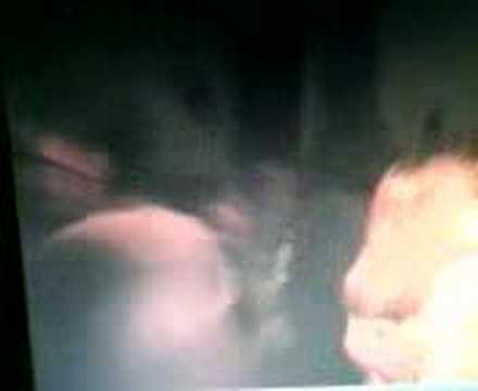 paddy power cheltenham