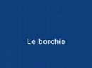 Le borchie