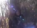 A.I. Alien Intelligence