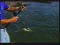 PESCARIA - RUBINHO PESCARIA - RUBINHO