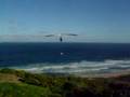 I was trying to make it look and sound funny!...Hang-gliding merewhether newcastle mahmoud mahmmoud al-swieti al-swity al-swiety al