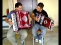 Totarella con Fisarmonica e organetto - Diego e Carmine Petronà CZ