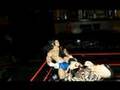 WAFF Vengeance PPV Figure Fed