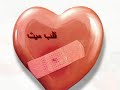 تامر عاشور by merorega