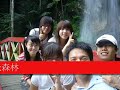 Thumbnail #3